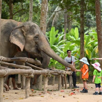 5-Day Private Chiang Mai Tour with Doi Inthanon & Elephant Sanctuary | Led by Women