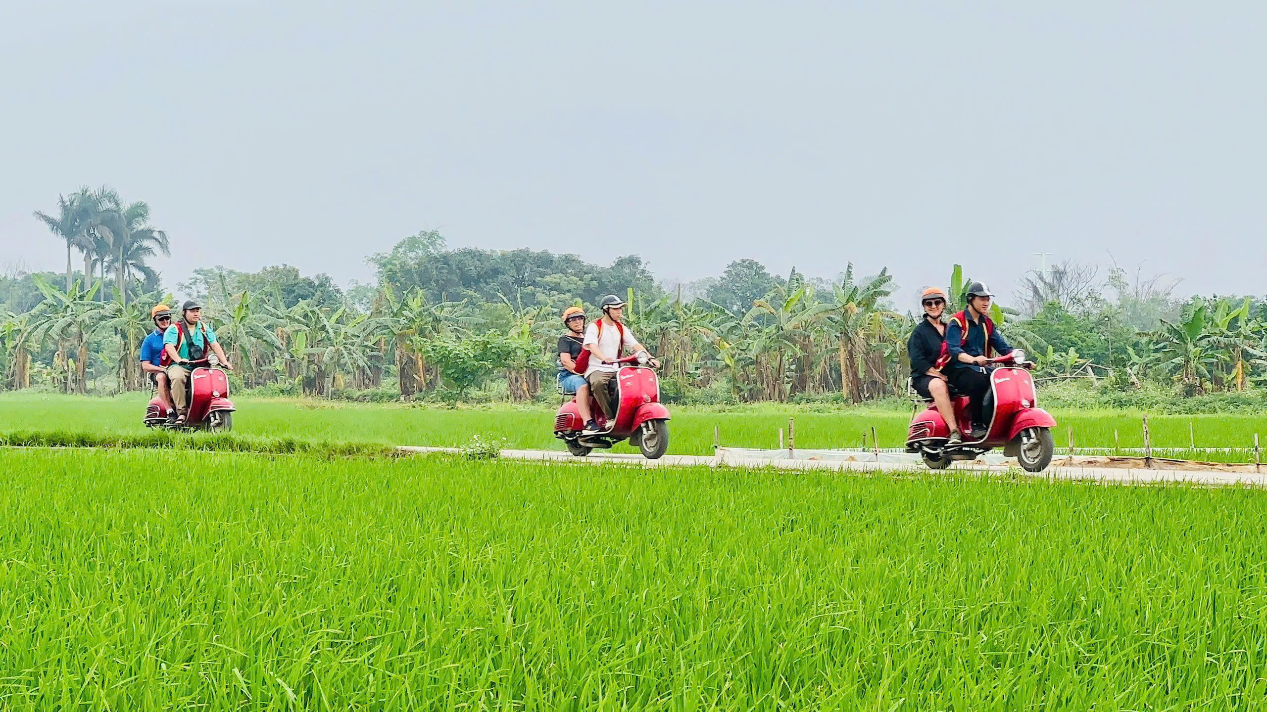 Hoi An Countryside Vespa Tour  Private Tour Led By Women