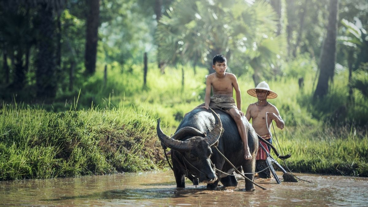 11-Day Vietnam Discovery Private Tour Led By Women 11-Day Vietnam Discovery Private Tour Led By Women